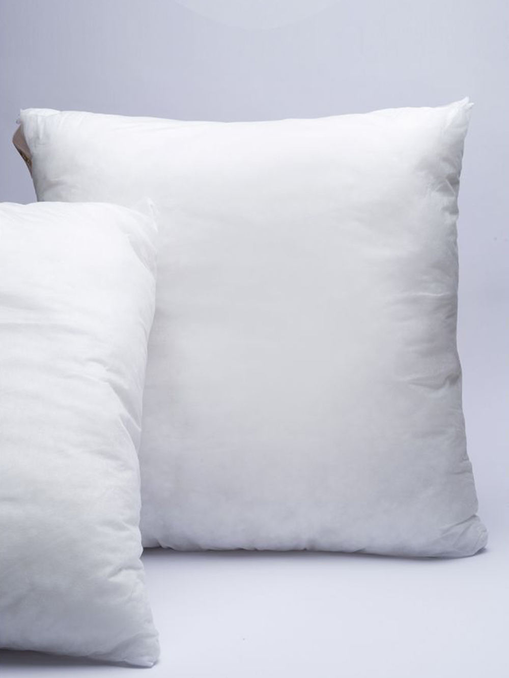 Ζεύγος Μαξιλάρια White Comfort 55x55 PROPIO