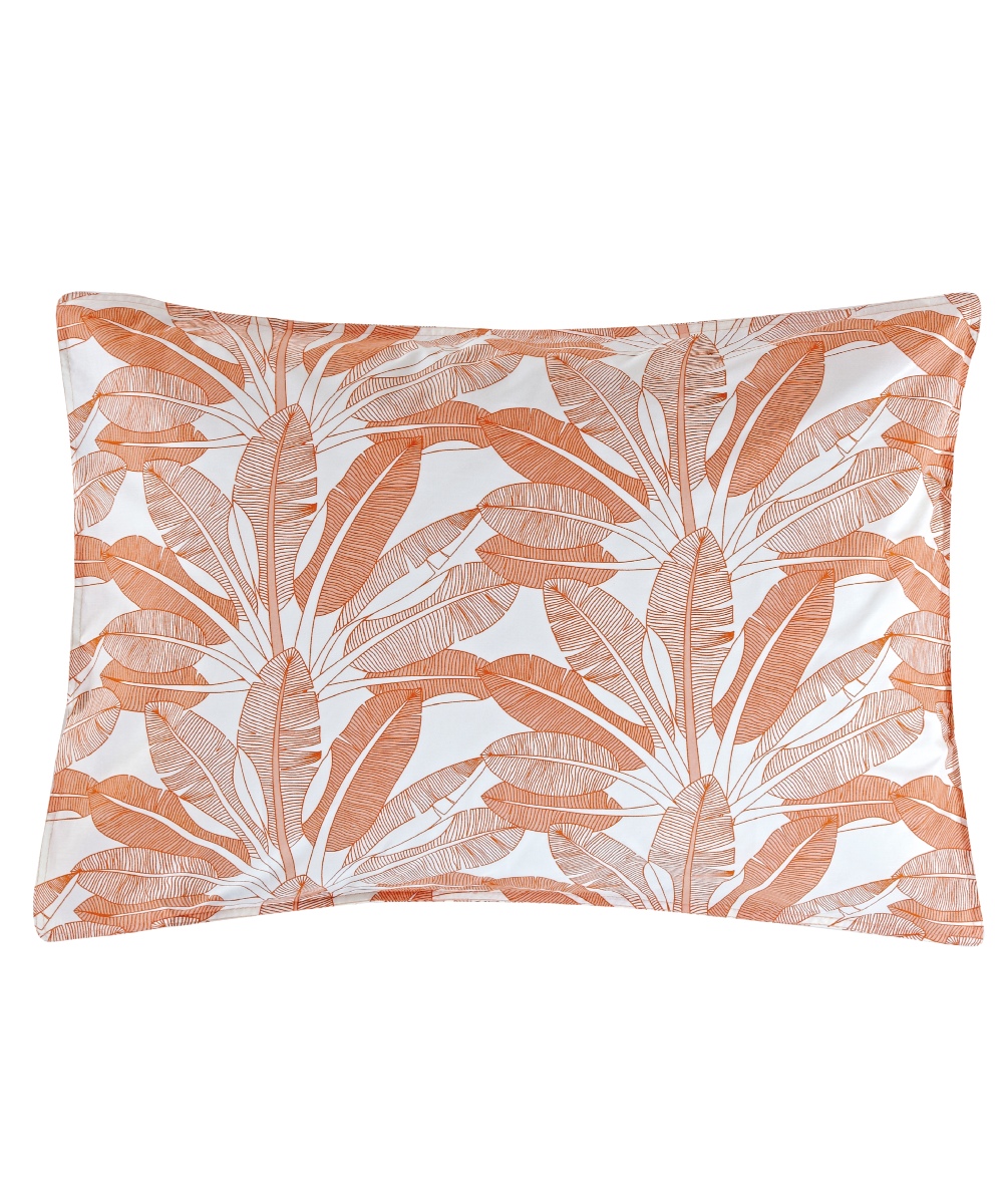 BADIDA 06 ΜΑΞΙΛΑΡΟΘΗΚΕΣ ΣΕΤ 2 ΤΕΜ