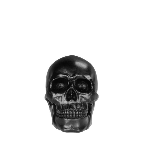 ΝΕΚΡΟΚΕΦΑΛΗ ΠΟΛΥΡΕΖ. ΜΑΥΡΗ 17,5Χ12,1Χ15ΕΚ