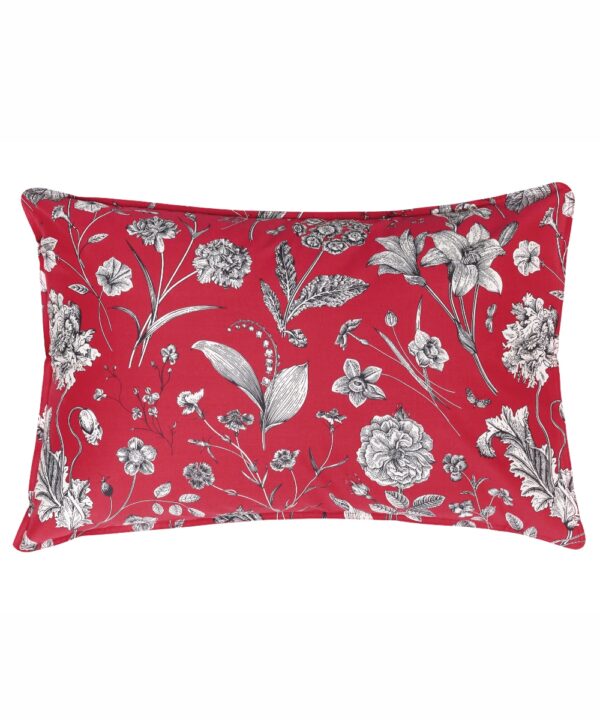 ALIDA 17 ΜΑΞΙΛΑΡΟΘΗΚΕΣ.ΣΕΤ 2 ΤΕΜ