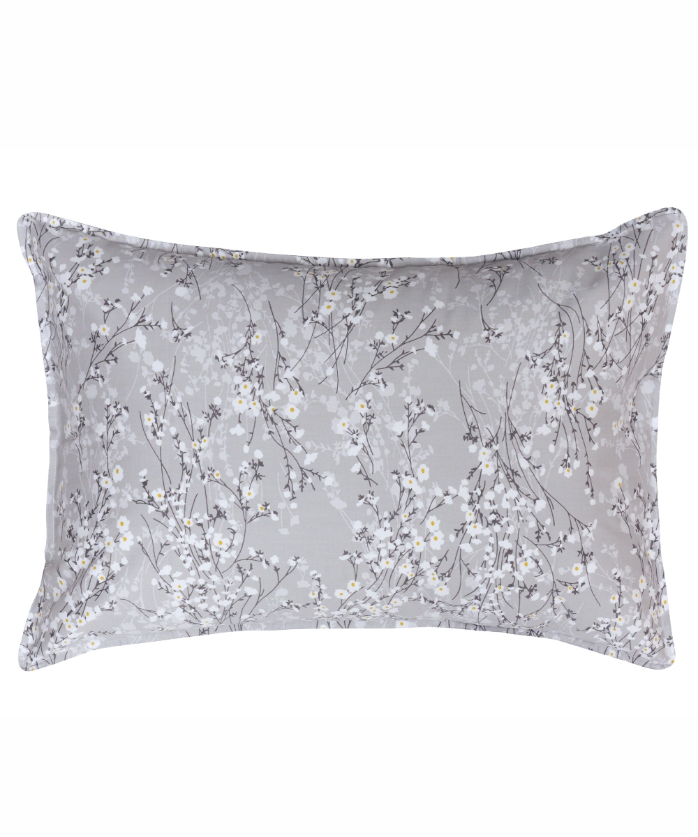 MENI 22 ΜΑΞΙΛΑΡΟΘΗΚΕΣ.ΣΕΤ 2 ΤΕΜ