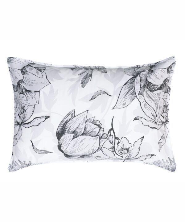 ONIRICO ΜΑΞΙΛΑΡΟΘΗΚΕΣ.ΣΕΤ 2 ΤΕΜ