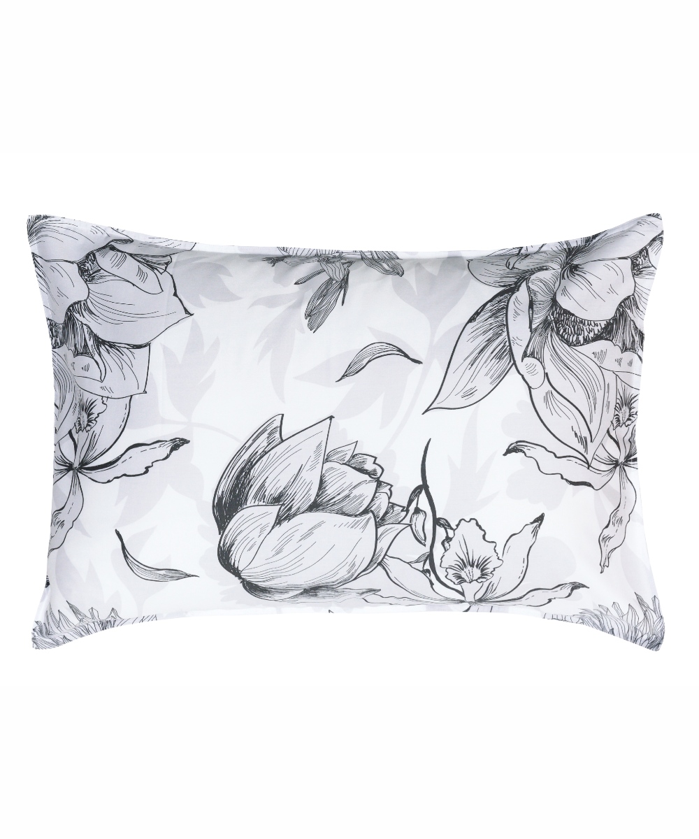 ONIRICO ΜΑΞΙΛΑΡΟΘΗΚΕΣ.ΣΕΤ 2 ΤΕΜ