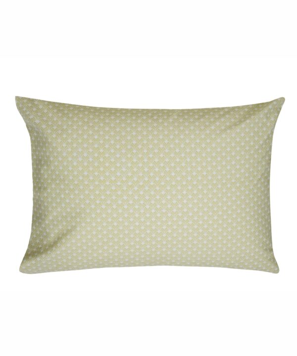 BLANS 36A ΣΕΤ 2 ΤΕΜ ΜΑΞΙΛΑΡΟΘΗΚΕΣ