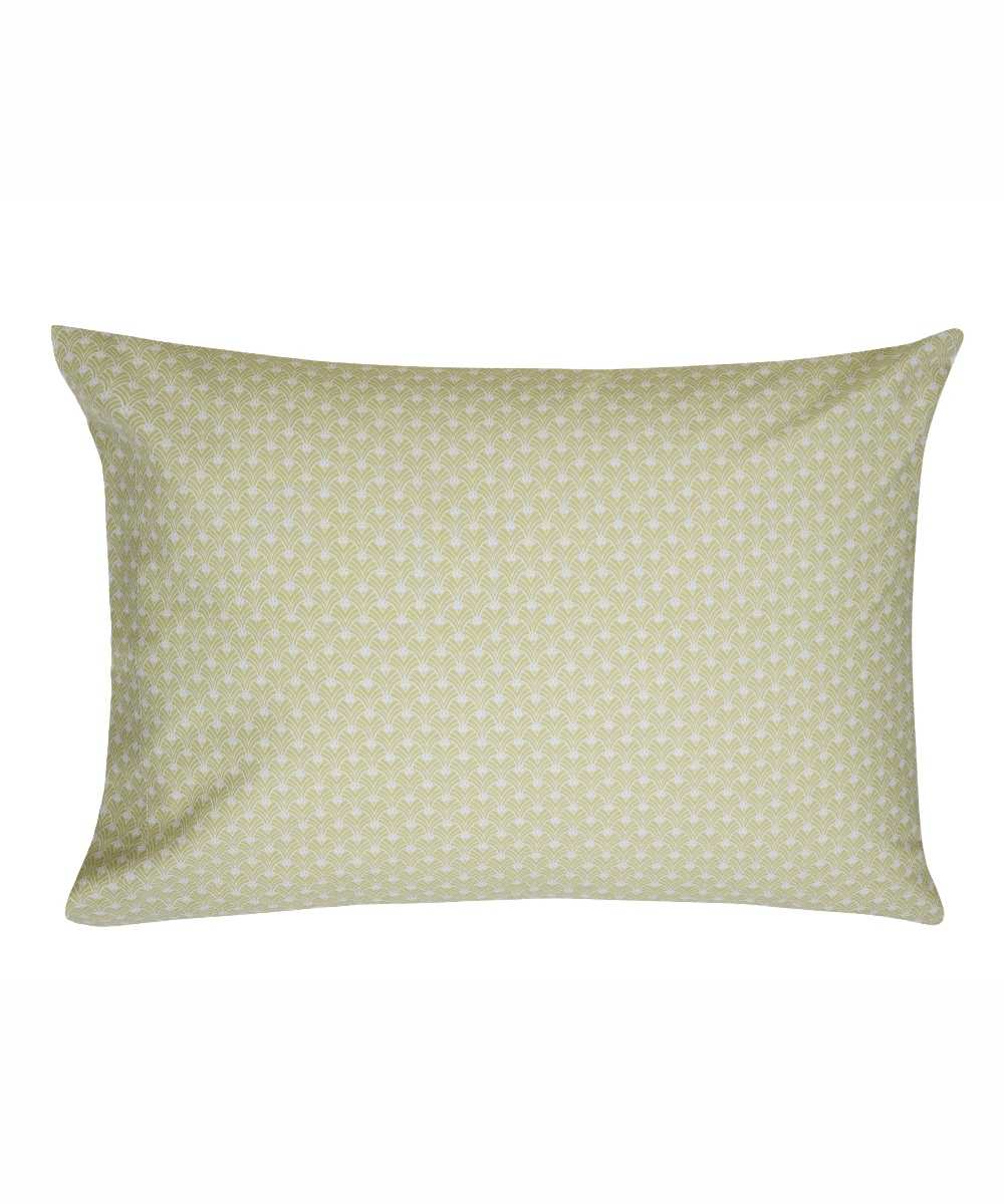 BLANS 36A ΣΕΤ 2 ΤΕΜ ΜΑΞΙΛΑΡΟΘΗΚΕΣ